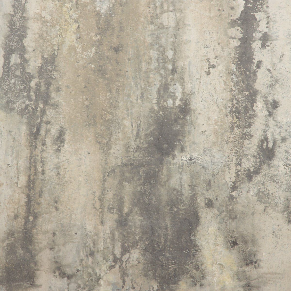 Penumbra I Diptych