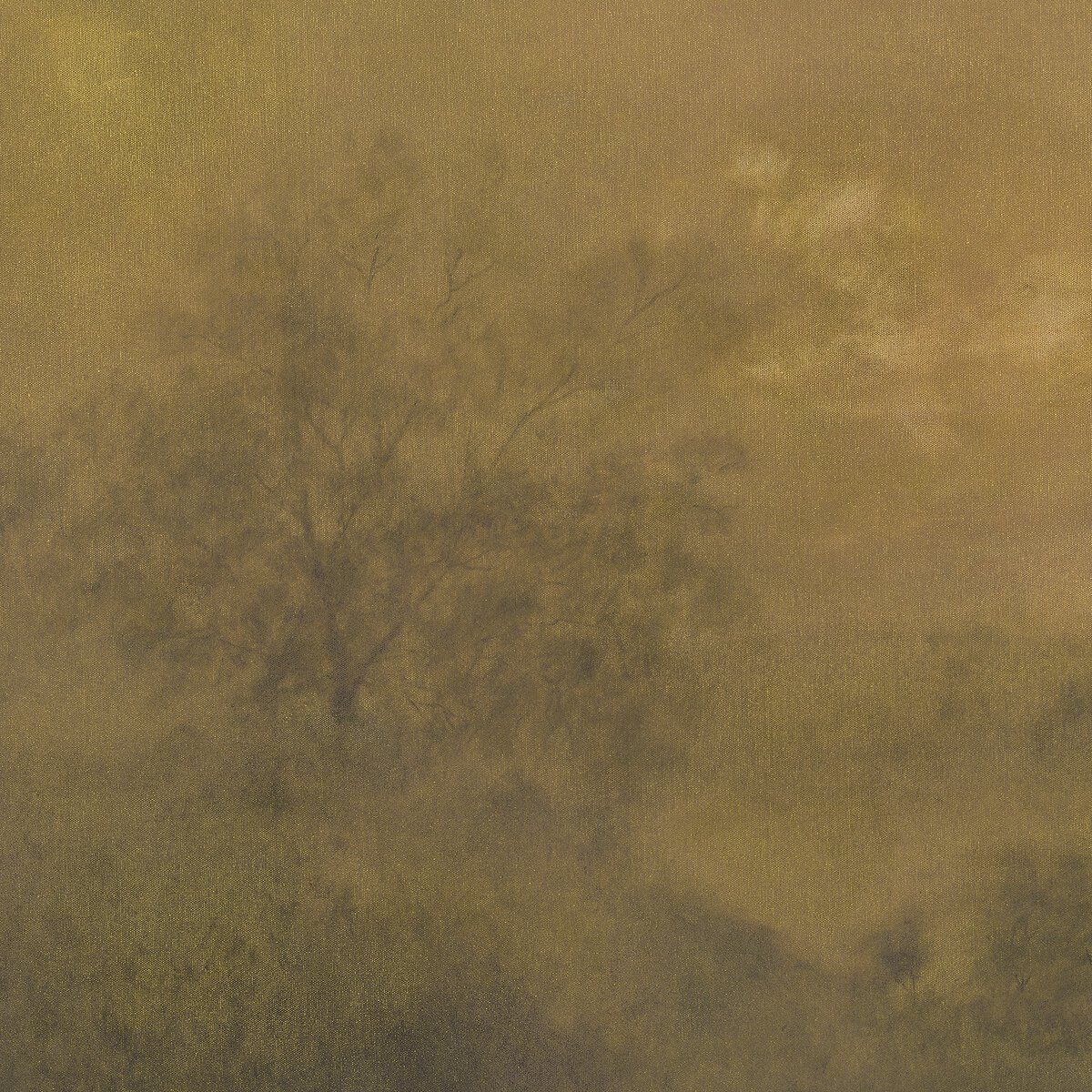 Expanse By Aileen Fitzgerald