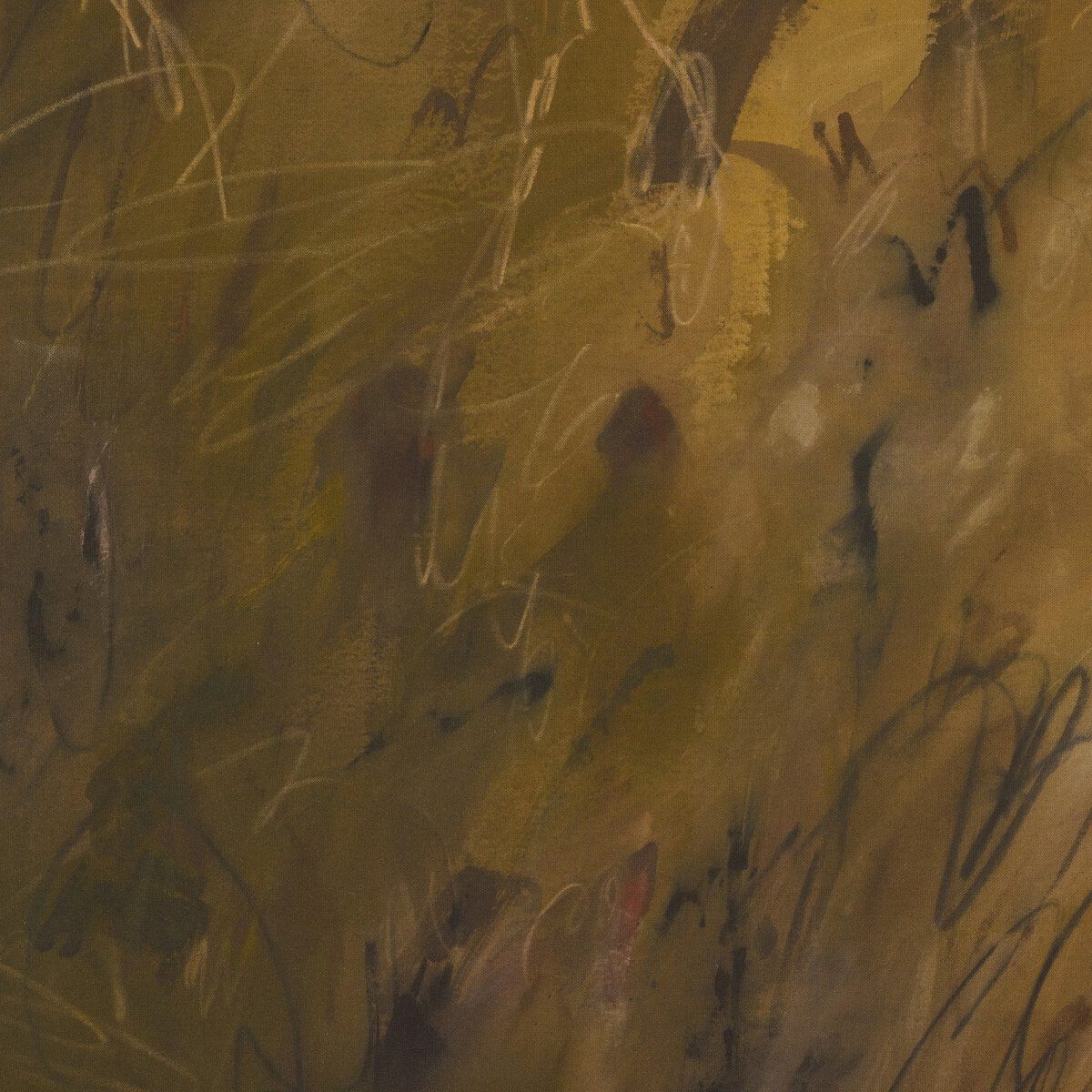 Chihuahuan Soil By Katherine Hunsaker