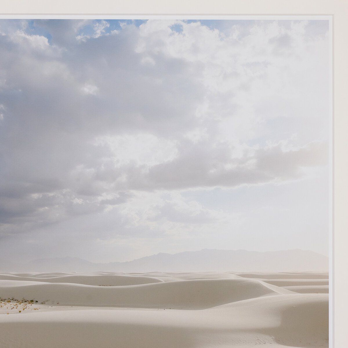 Desert Rain By Wesley And Emma Teague