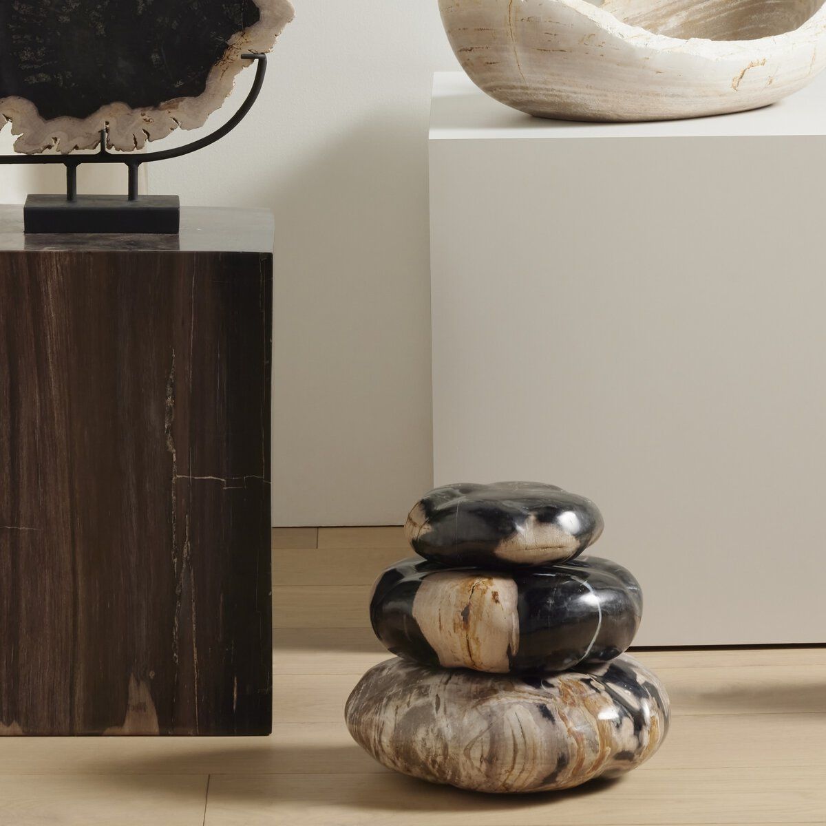 Petrified Wood Organic Sculpture, Set Of 3