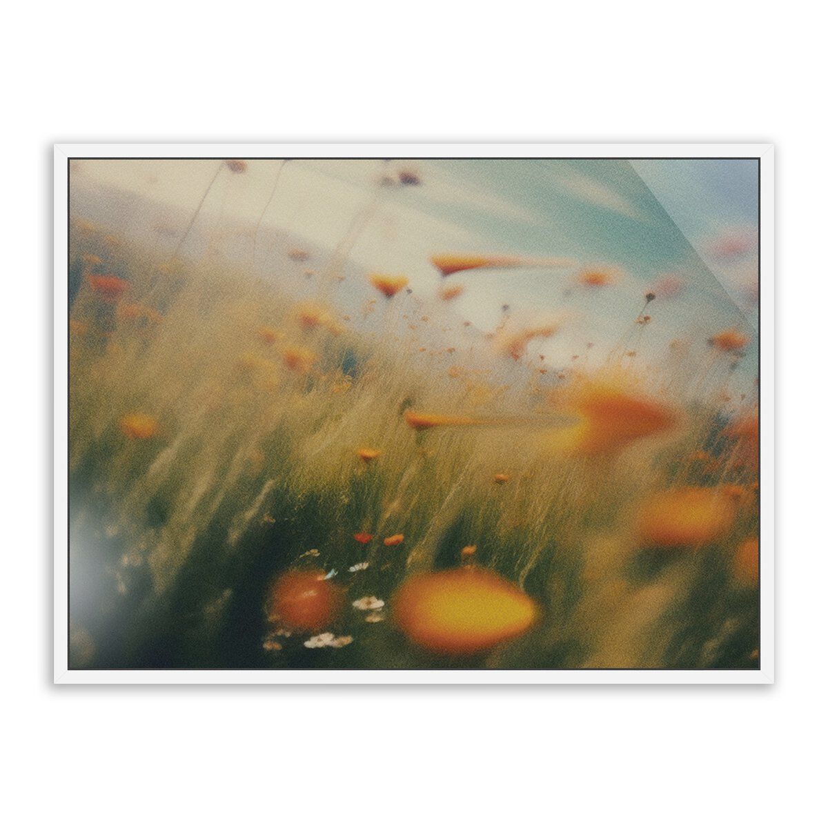 Prairie I By Coup D'esprit