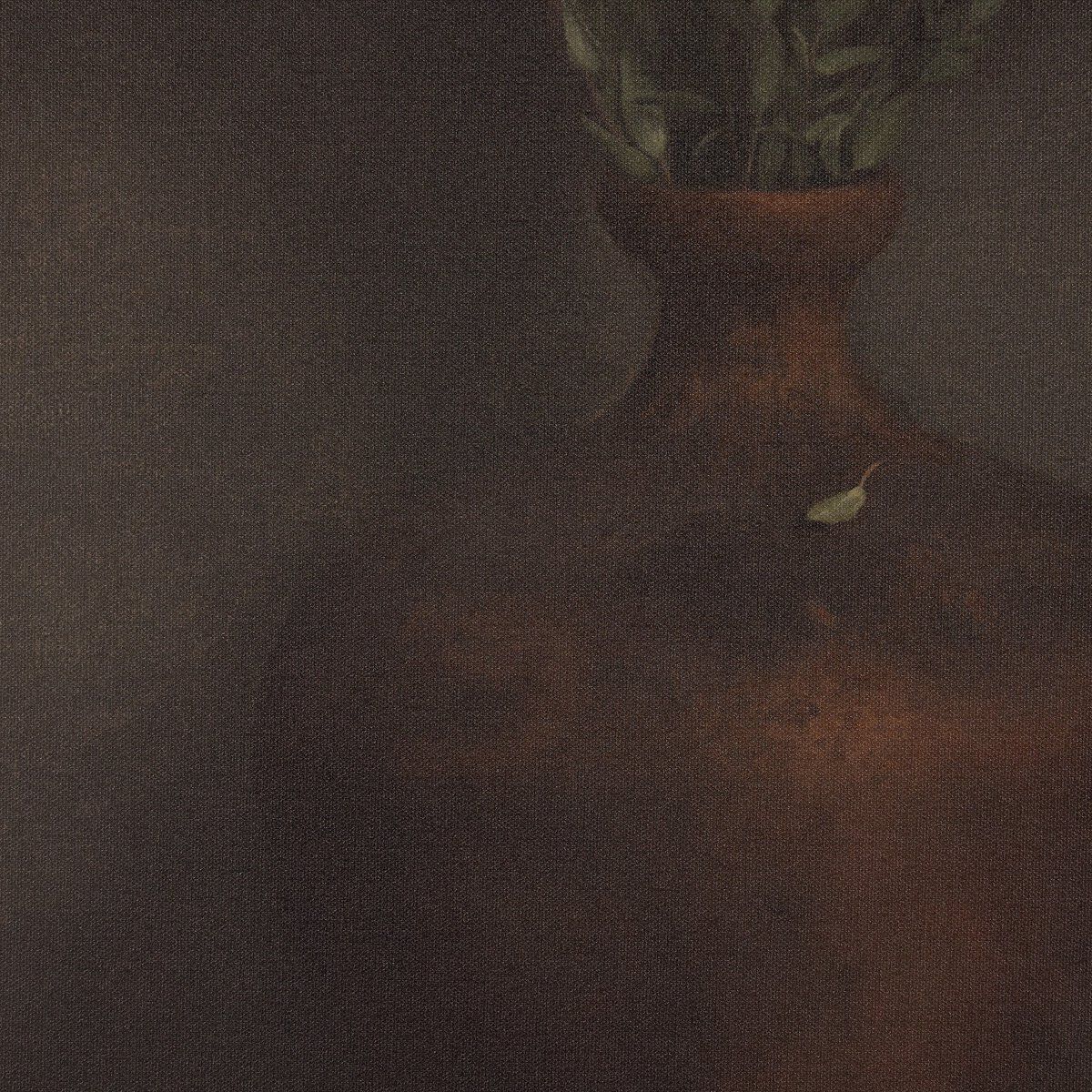 Scents Of Serenity By Bethany Joseph