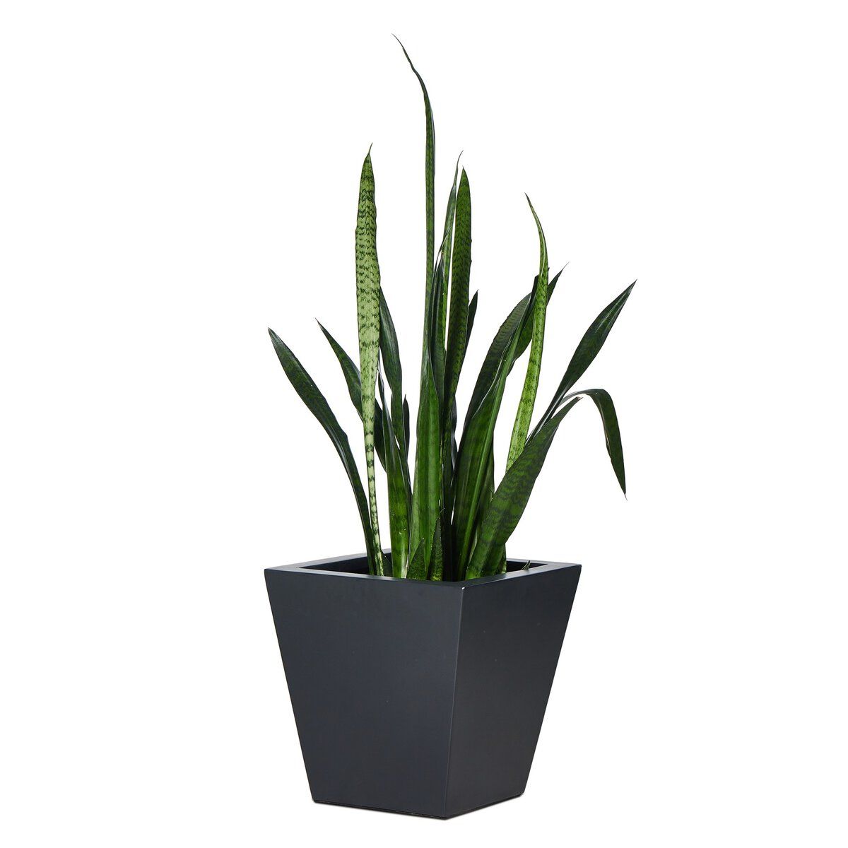 Koto Planter