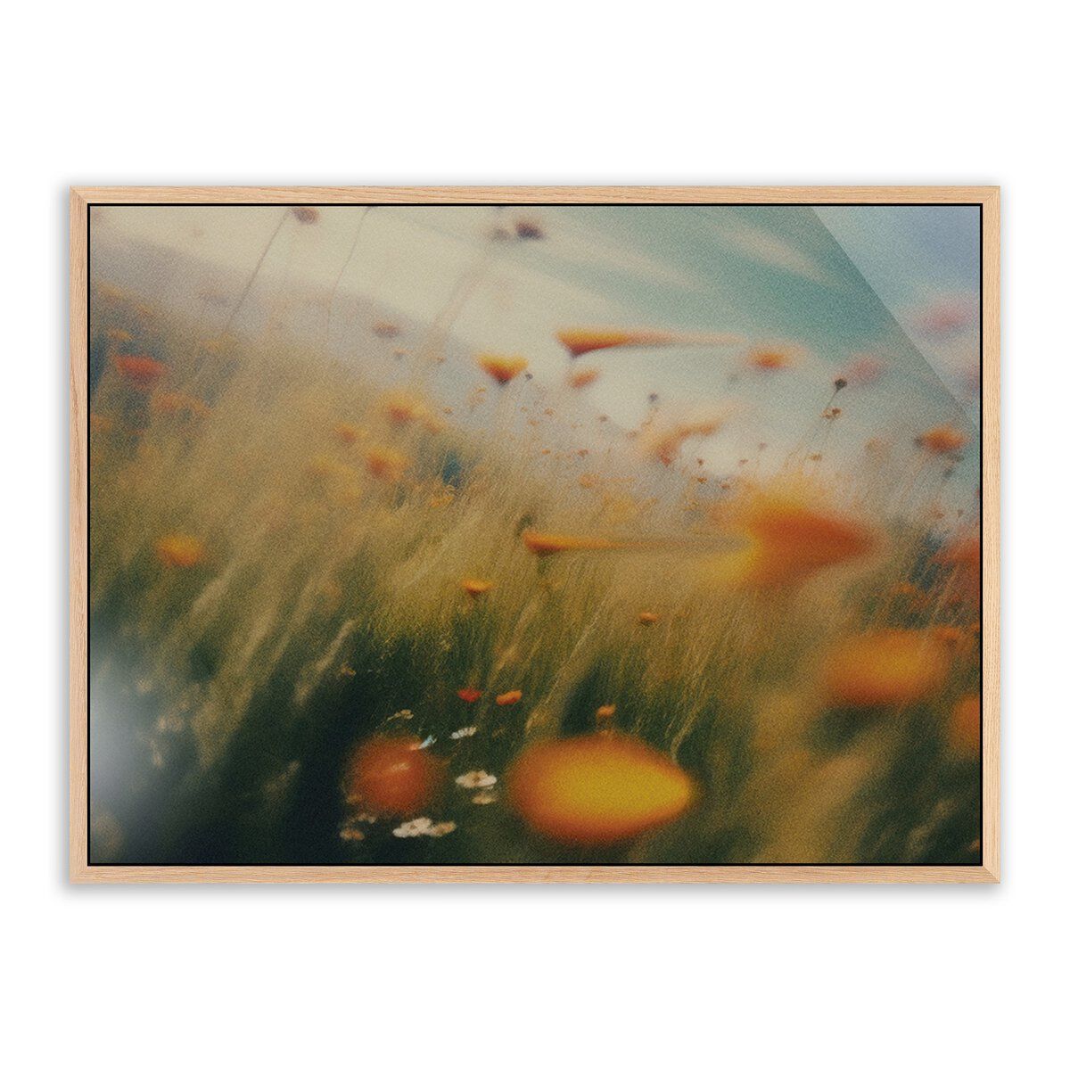 Prairie I By Coup D'esprit