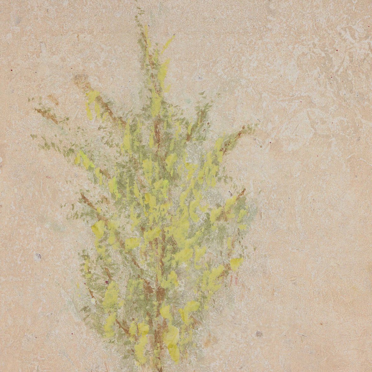 Desert Flora Triptych By Paul Meyer