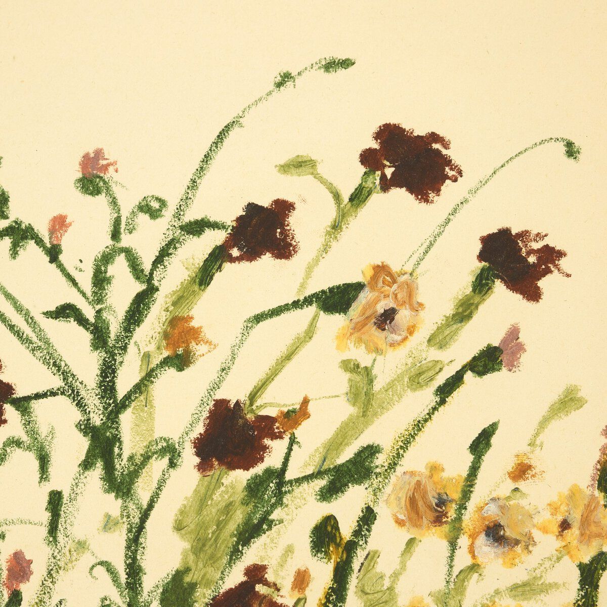 Wildflower Medley By Shaina Page