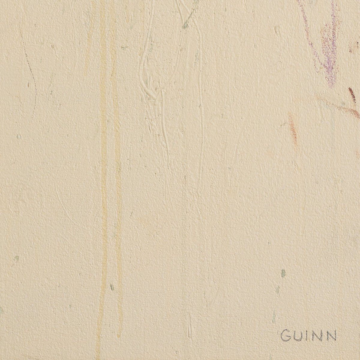 What We Learned On The Mountain By Tyler Guinn