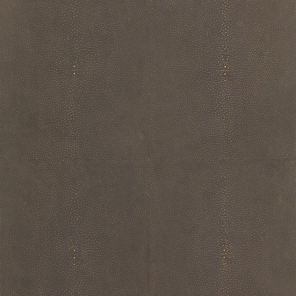Shagreen Desk