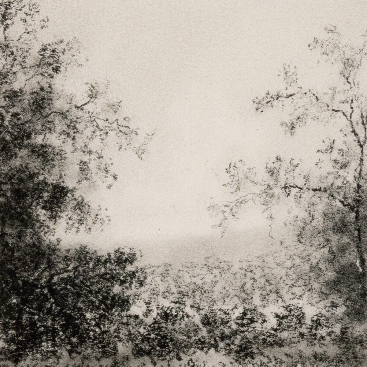 Landscape Study Ii By Aileen Fitzgerald