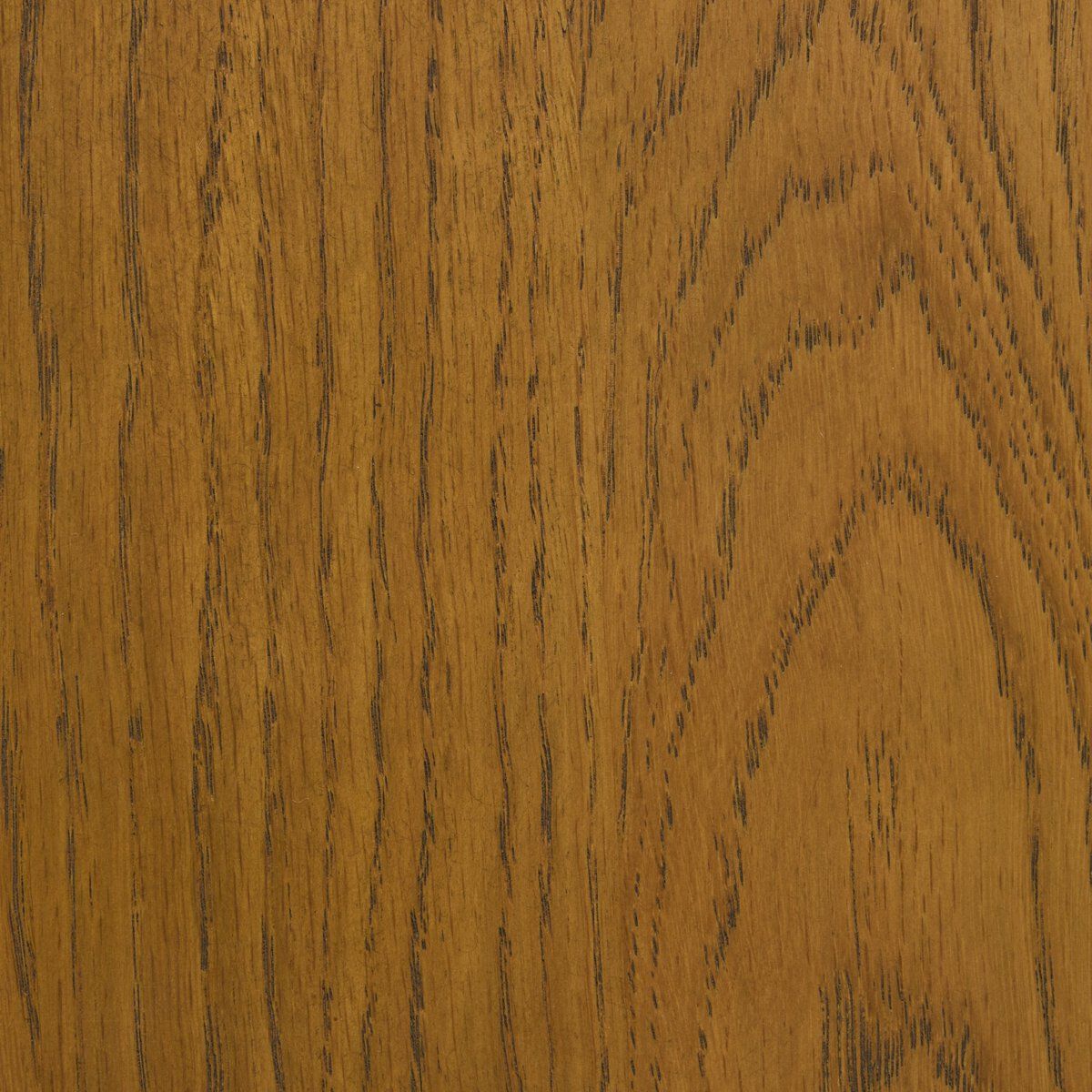 Ripley Bar + Counter Stool