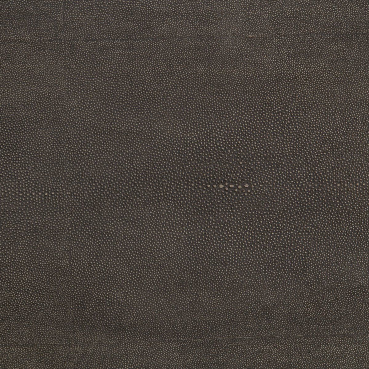 Shagreen Shadow Box Coffee Table