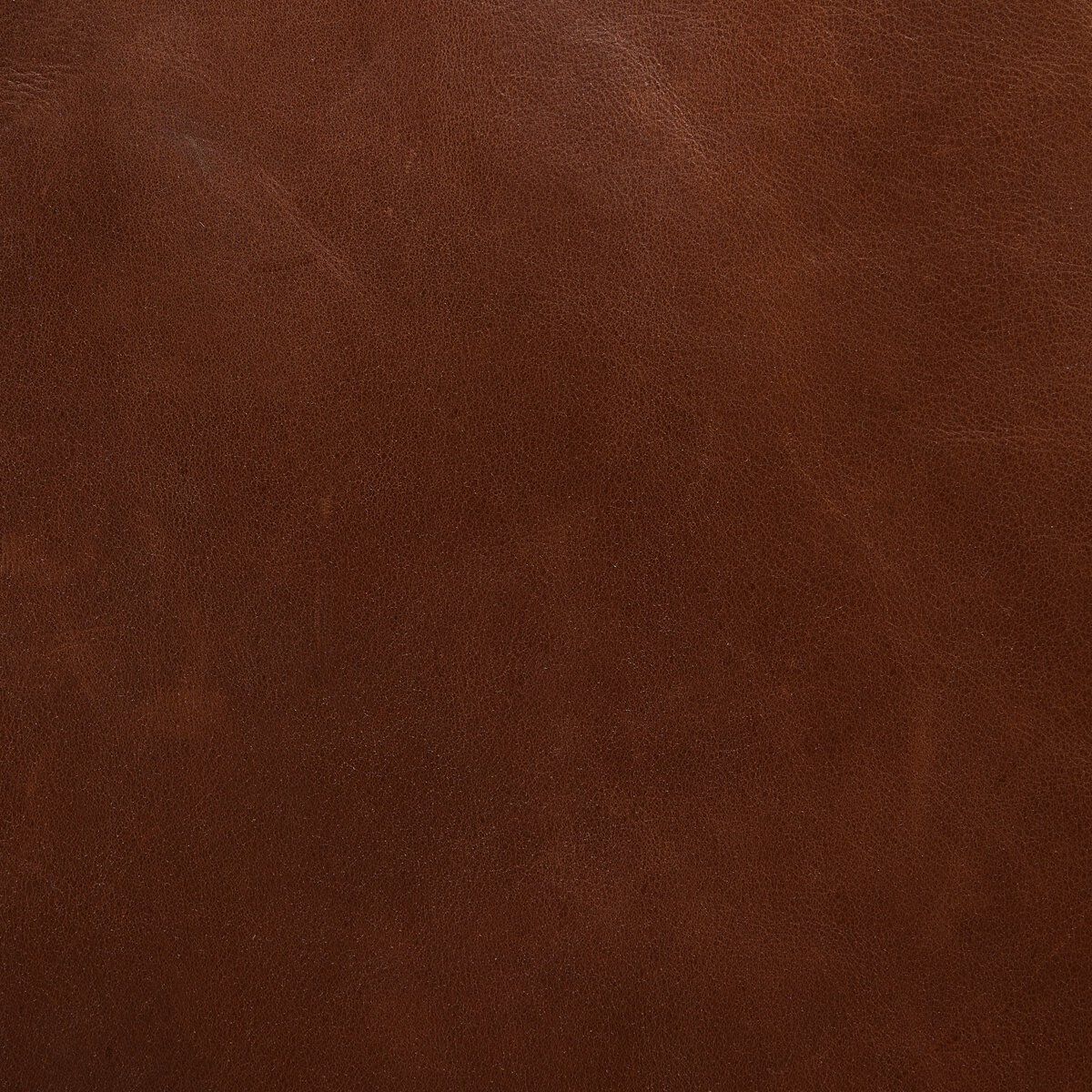 Brenna Dining Chair