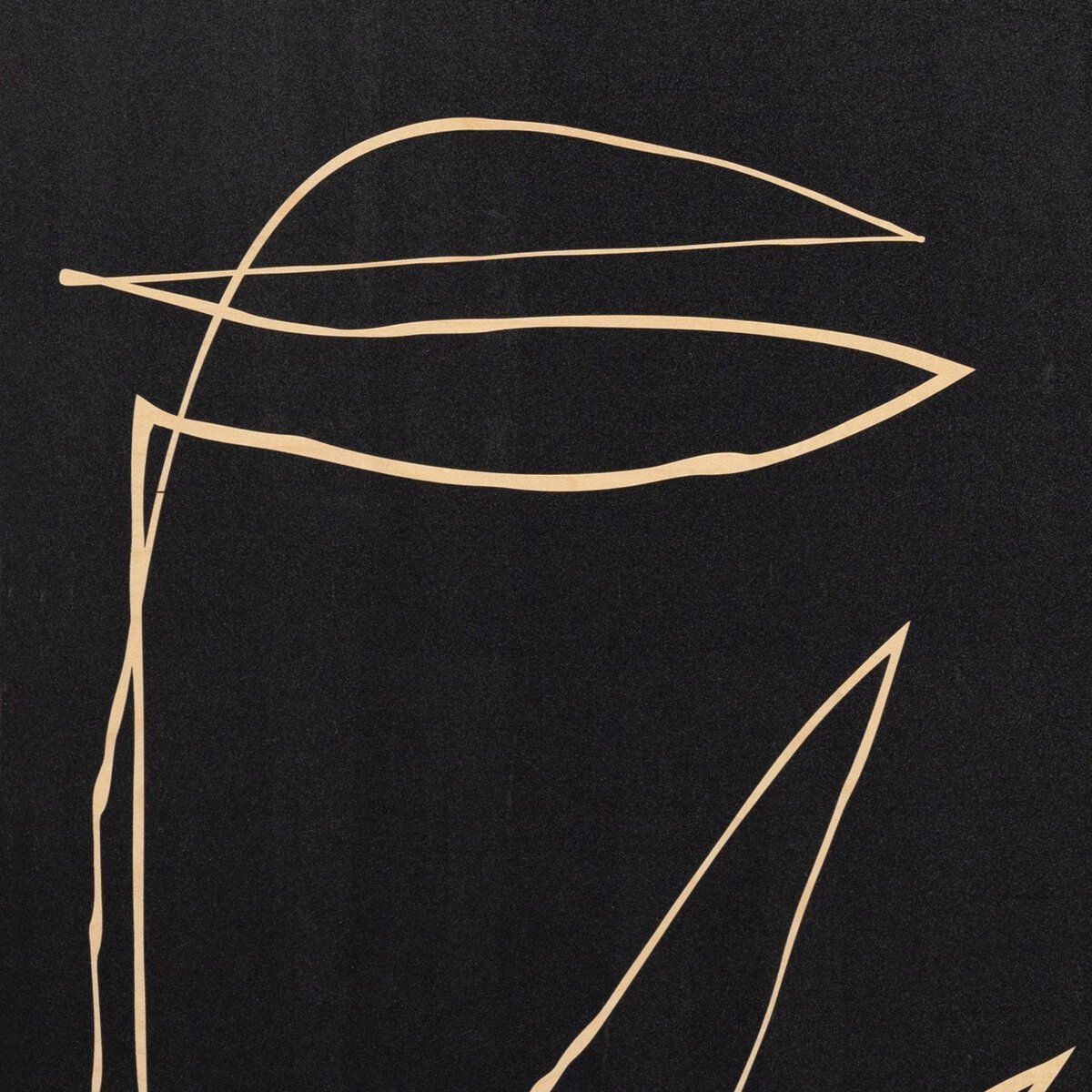 Abstract Botanic Line Drawing By Roseanne Kenny
