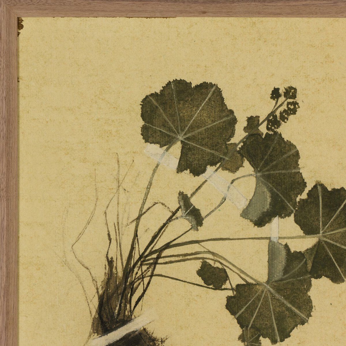 Petite Study No. Vii By Hannah Winters