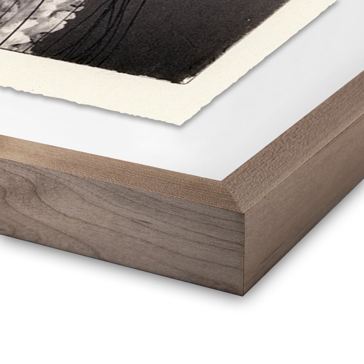 Jellies 4 By Platinum Revival