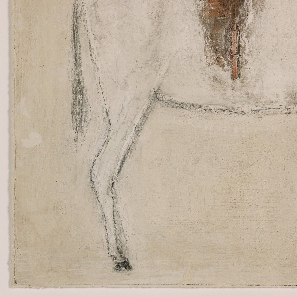 Burro Bestow By Paul Meyer