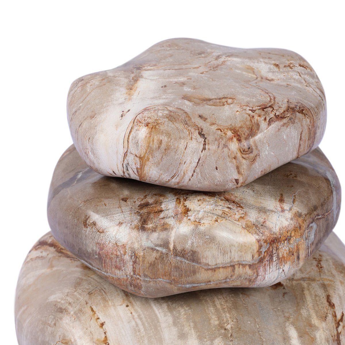 Petrified Wood Organic Sculpture, Set Of 3