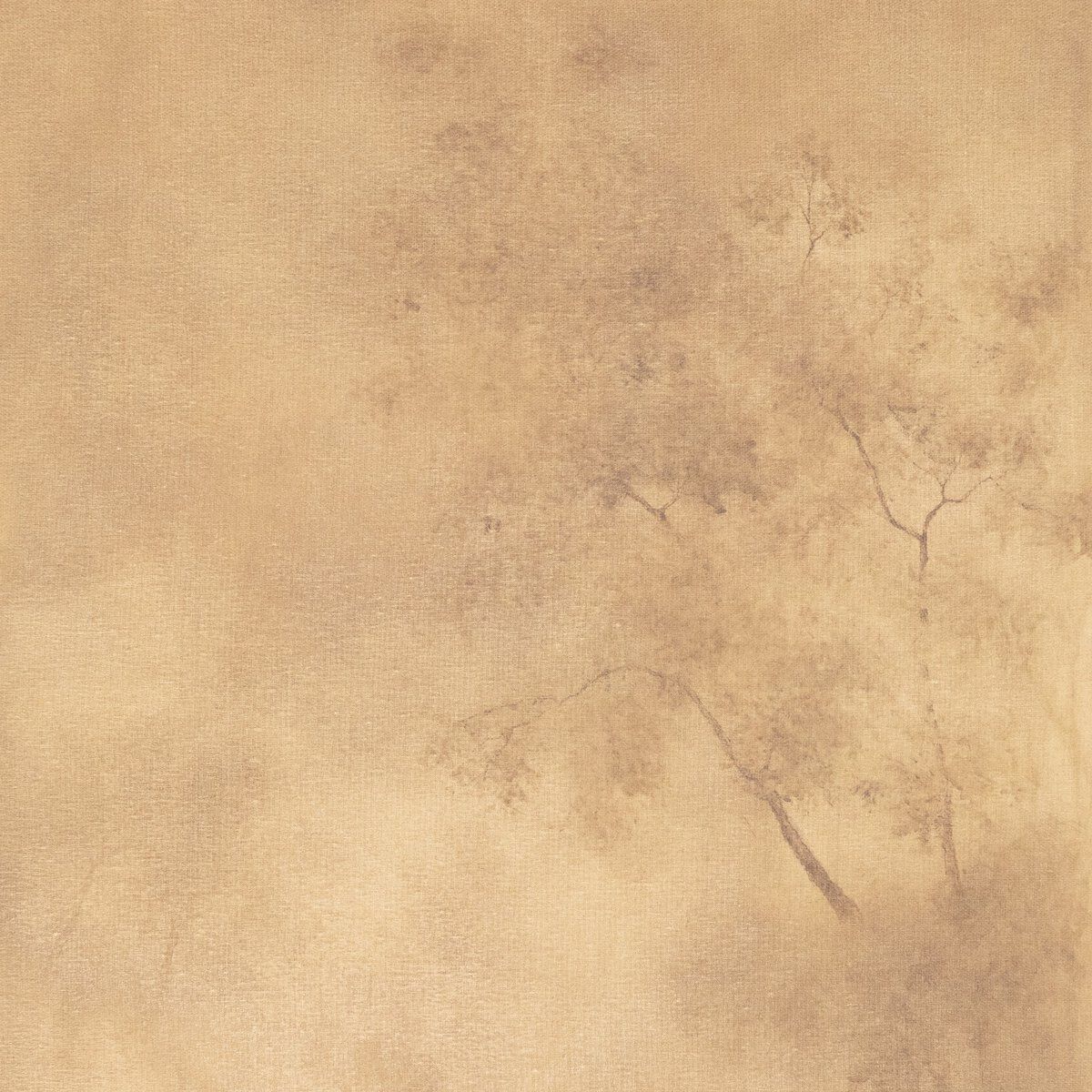 Towering Oak By Aileen Fitzgerald
