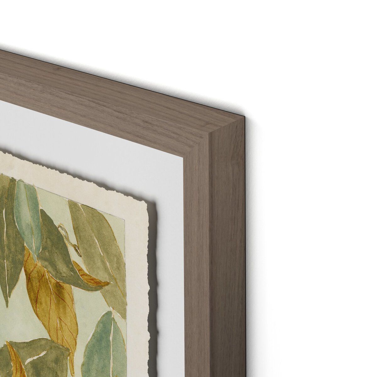Magnolia I By Laurel-dawn Latshaw