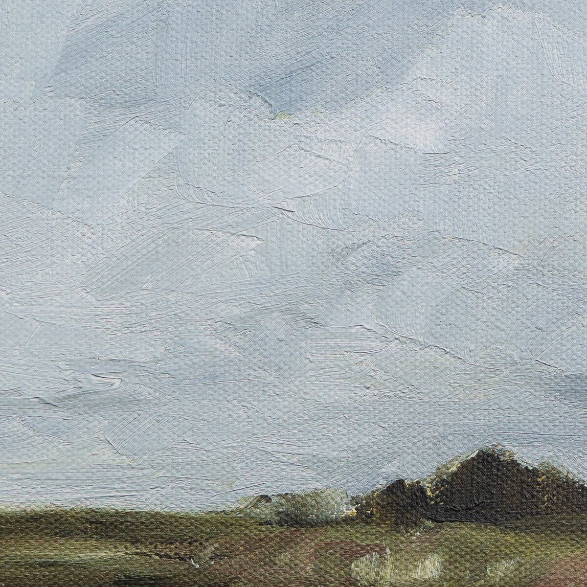 Farmland By Shaina Page