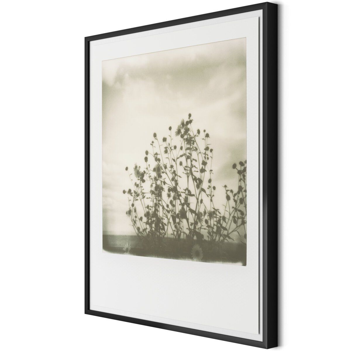 Sunflowers By Darden Smith