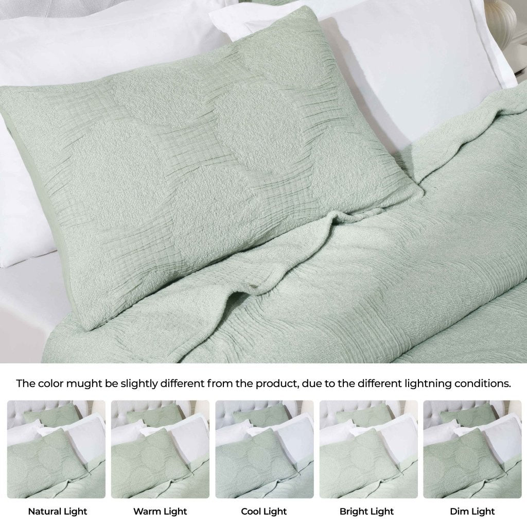Tanta Cotton Medium Weight Textured Modern Circles Woven Coverlet - Coverlet by Superior Brand