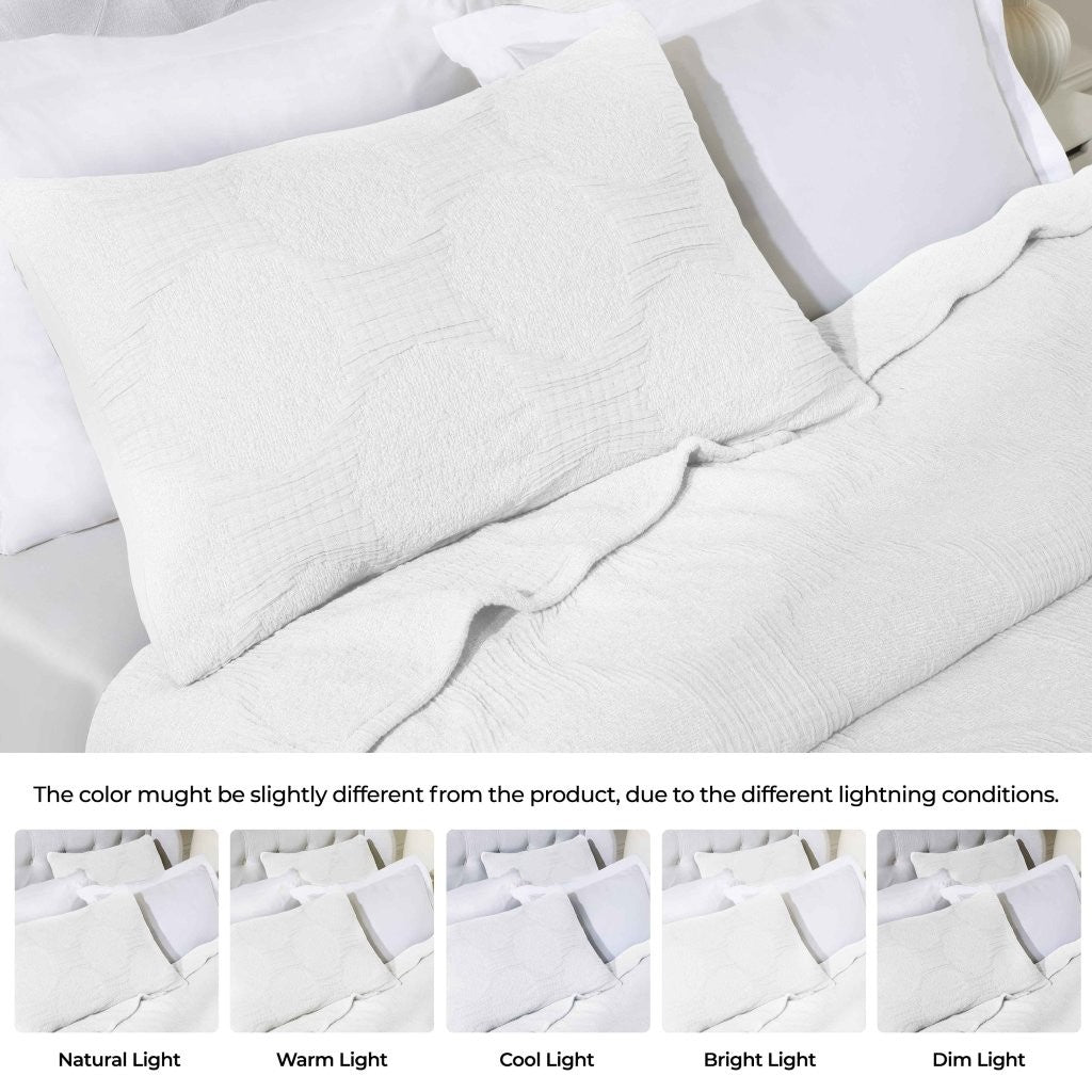 Tanta Cotton Medium Weight Textured Modern Circles Woven Coverlet - Coverlet by Superior Brand